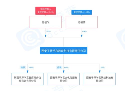 冯仑退出西安子牙学宫教育49 股权,其女冯碧漪接盘